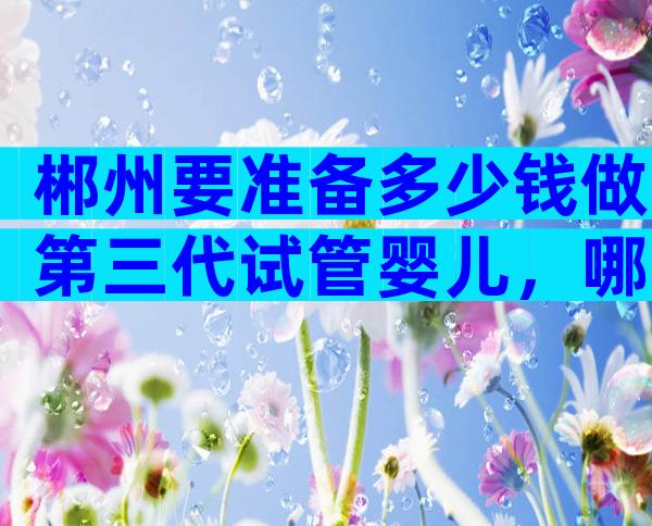 郴州要准备多少钱做第三代试管婴儿，哪家医院好？