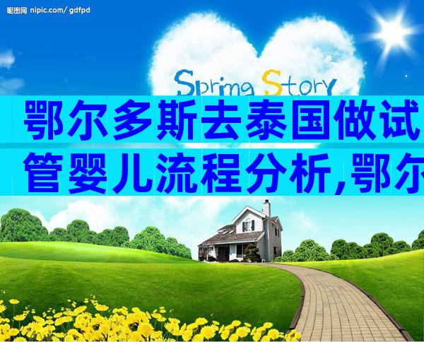 鄂尔多斯去泰国做试管婴儿流程分析,鄂尔多斯哪个医院可以做试管