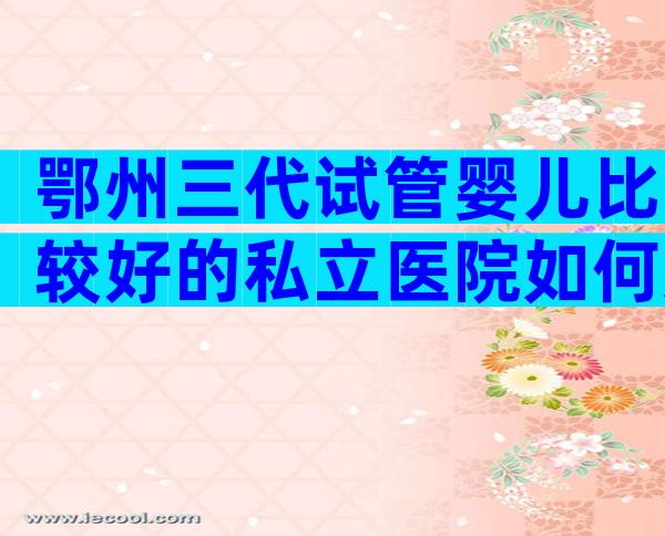 鄂州三代试管婴儿比较好的私立医院如何选择，哪家好看完明白