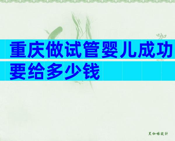 重庆做试管婴儿成功要给多少钱