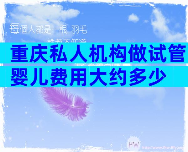 重庆私人机构做试管婴儿费用大约多少