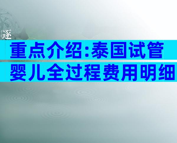 重点介绍:泰国试管婴儿全过程费用明细大公开!
