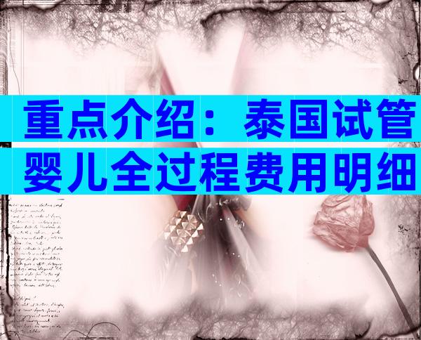 重点介绍：泰国试管婴儿全过程费用明细大公开！