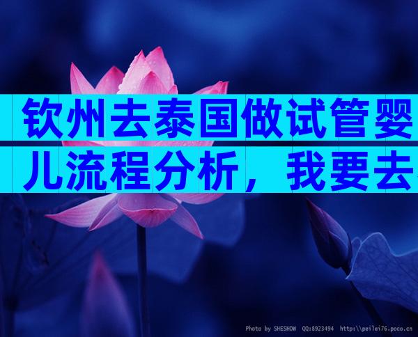 钦州去泰国做试管婴儿流程分析，我要去泰国做试管婴儿