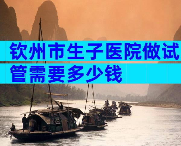 钦州市生子医院做试管需要多少钱