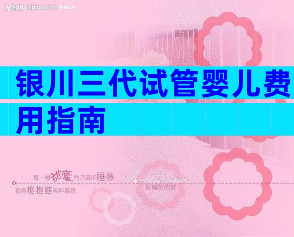银川三代试管婴儿费用指南
