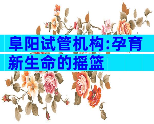 阜阳试管机构:孕育新生命的摇篮