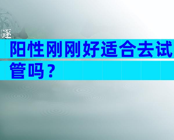阳性刚刚好适合去试管吗？
