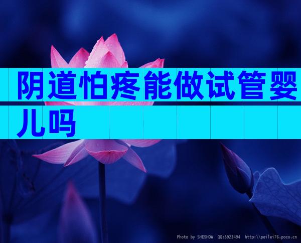 阴道怕疼能做试管婴儿吗