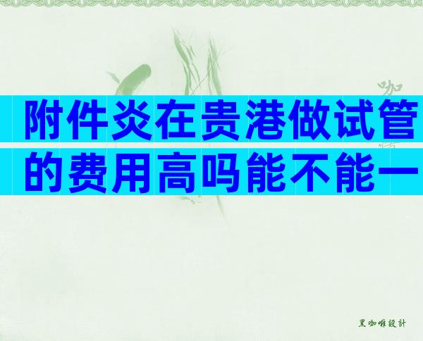 附件炎在贵港做试管的费用高吗能不能一次成功