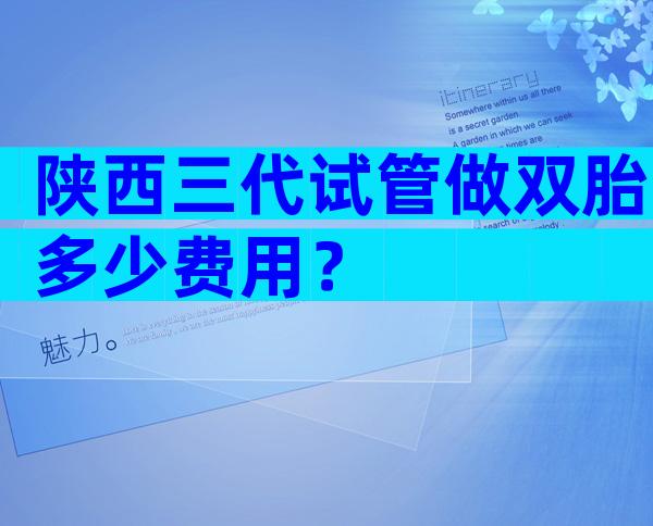 陕西三代试管做双胎多少费用？