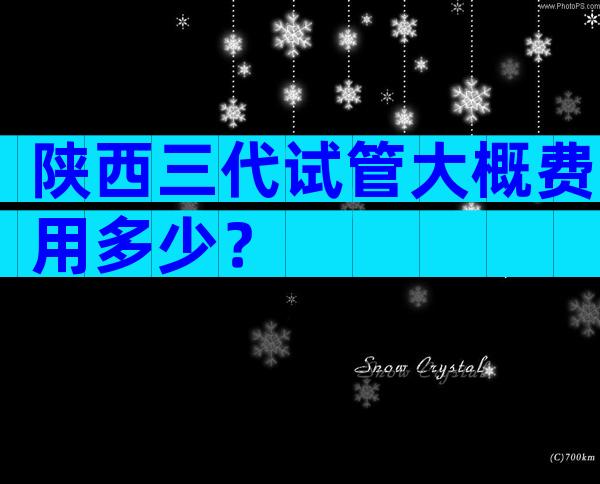 陕西三代试管大概费用多少？