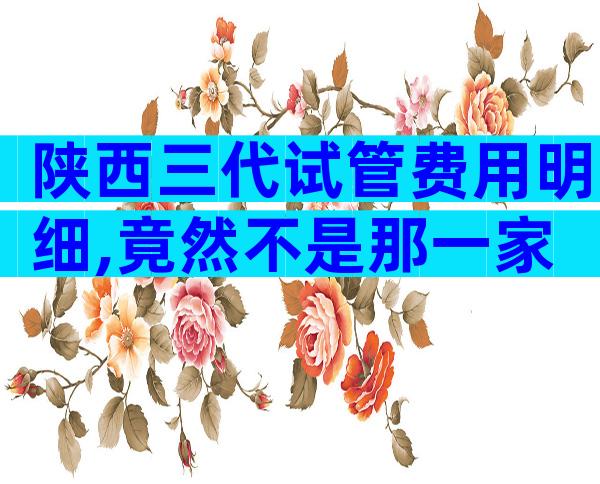 陕西三代试管费用明细,竟然不是那一家