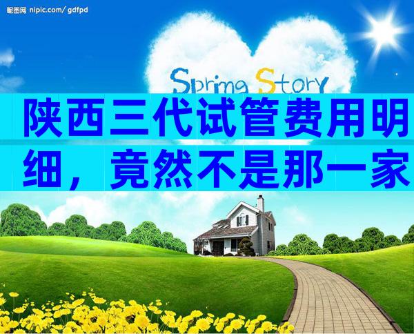 陕西三代试管费用明细，竟然不是那一家