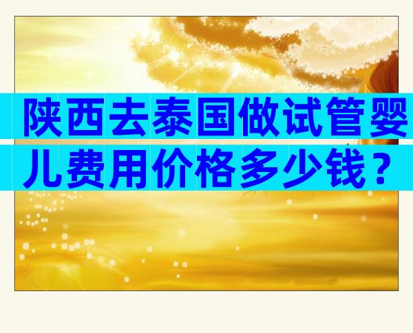 陕西去泰国做试管婴儿费用价格多少钱？