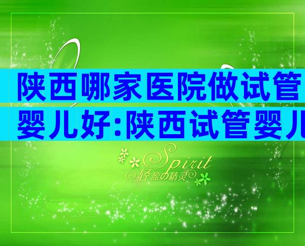 陕西哪家医院做试管婴儿好:陕西试管婴儿排名