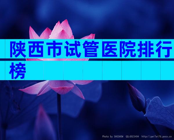 陕西市试管医院排行榜