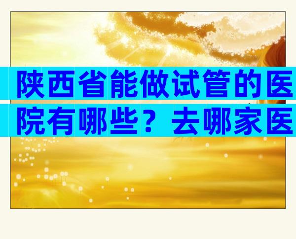 陕西省能做试管的医院有哪些？去哪家医院可以不排队