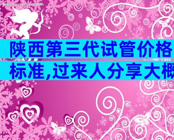 陕西第三代试管价格标准,过来人分享大概要准备10万