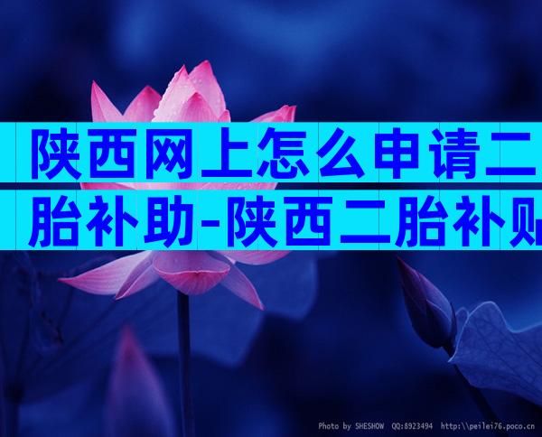 陕西网上怎么申请二胎补助-陕西二胎补贴政策
