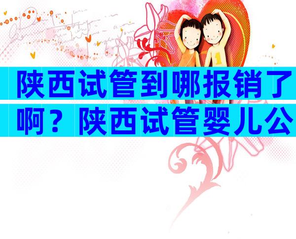 陕西试管到哪报销了啊？陕西试管婴儿公立医院费用