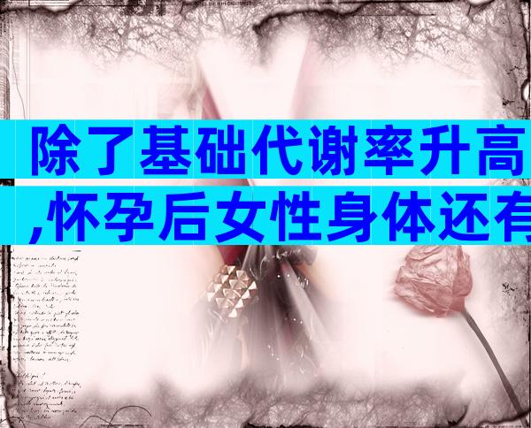 除了基础代谢率升高,怀孕后女性身体还有这些变化!