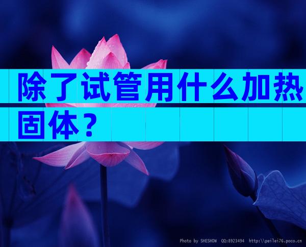 除了试管用什么加热固体？