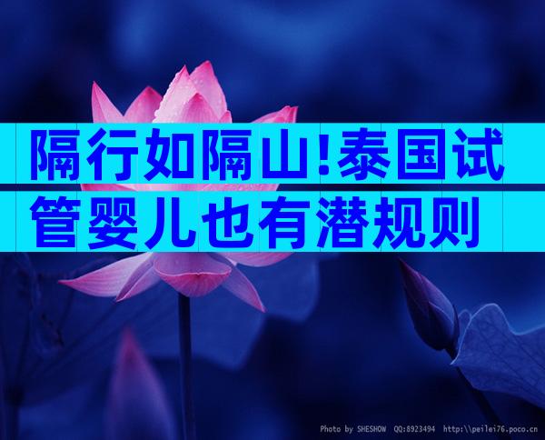 隔行如隔山!泰国试管婴儿也有潜规则
