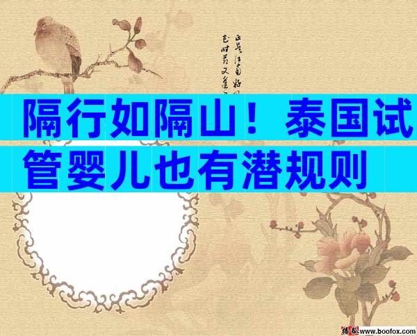 隔行如隔山！泰国试管婴儿也有潜规则
