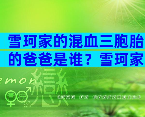 雪珂家的混血三胞胎的爸爸是谁？雪珂家的混血三胞胎的怎么生的？