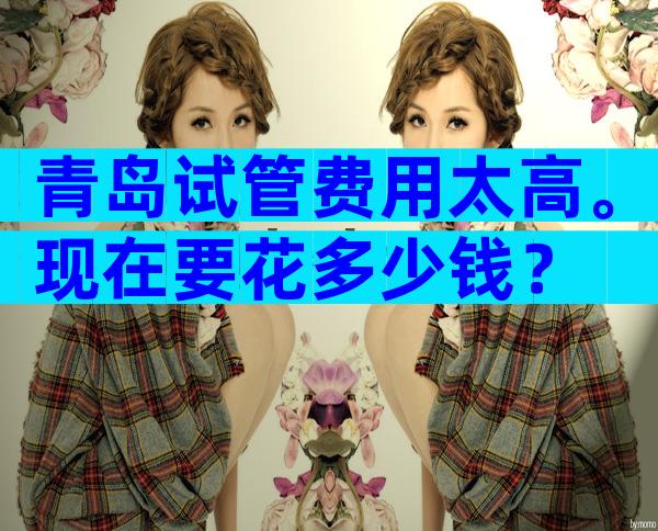 青岛试管费用太高。现在要花多少钱？