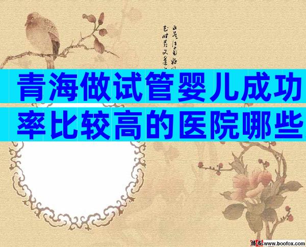 青海做试管婴儿成功率比较高的医院哪些好
