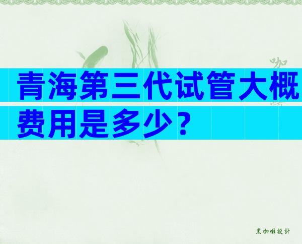 青海第三代试管大概费用是多少？