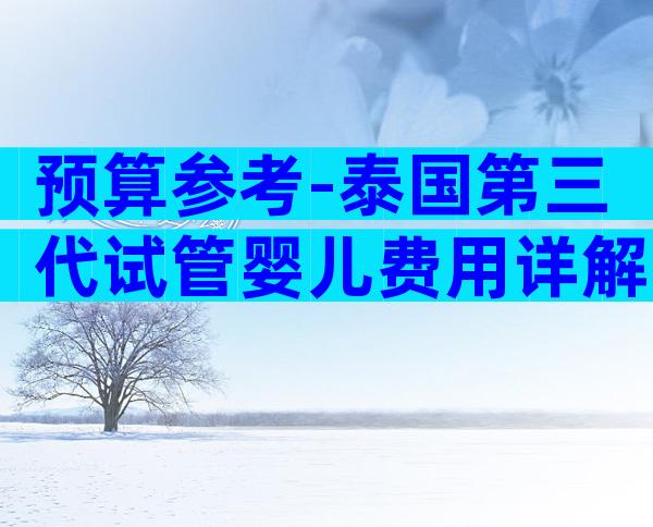 预算参考-泰国第三代试管婴儿费用详解!