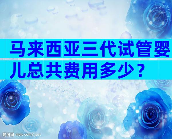 马来西亚三代试管婴儿总共费用多少？