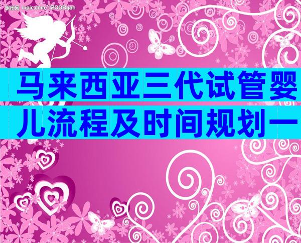 马来西亚三代试管婴儿流程及时间规划一览!