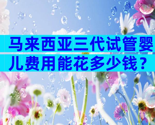 马来西亚三代试管婴儿费用能花多少钱？试管婴儿费用清单表