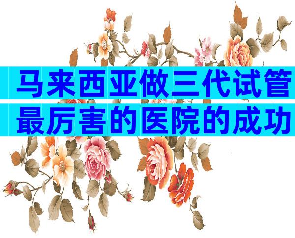 马来西亚做三代试管最厉害的医院的成功率如何？成功率高就行了