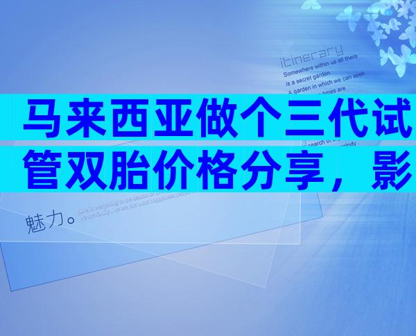 马来西亚做个三代试管双胎价格分享，影响成功率吗