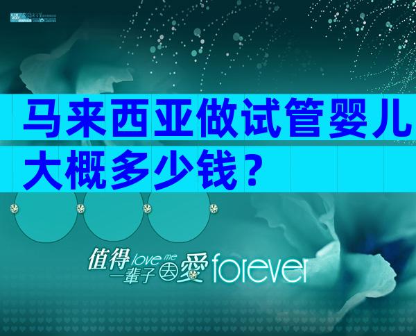 马来西亚做试管婴儿大概多少钱？