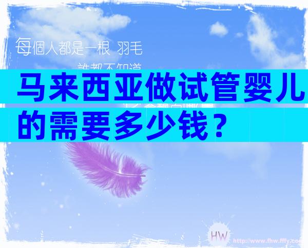 马来西亚做试管婴儿的需要多少钱？