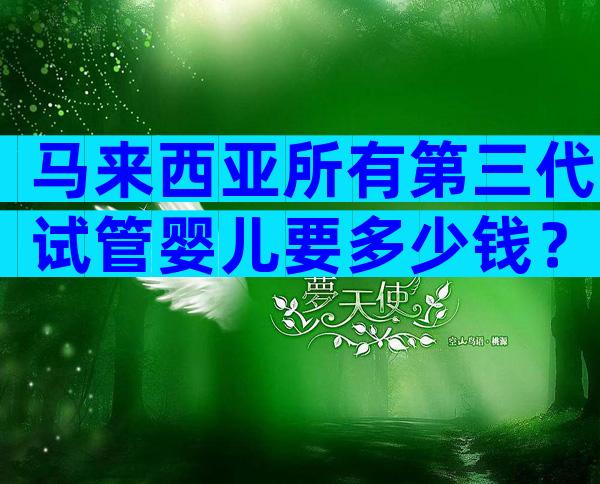 马来西亚所有第三代试管婴儿要多少钱？