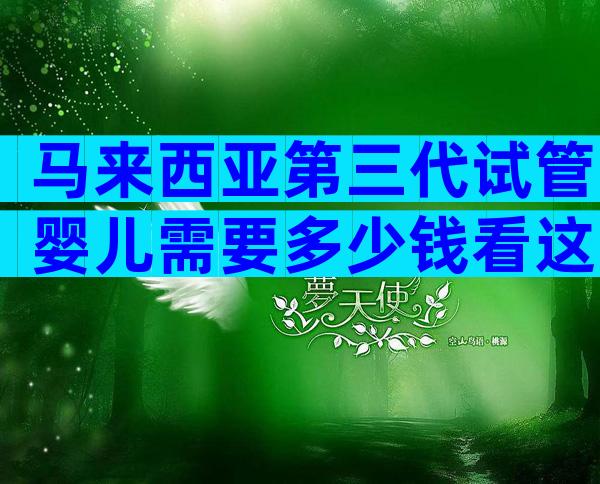 马来西亚第三代试管婴儿需要多少钱看这里,试管婴儿费用攻略!