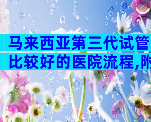 马来西亚第三代试管比较好的医院流程,附试管排名清单
