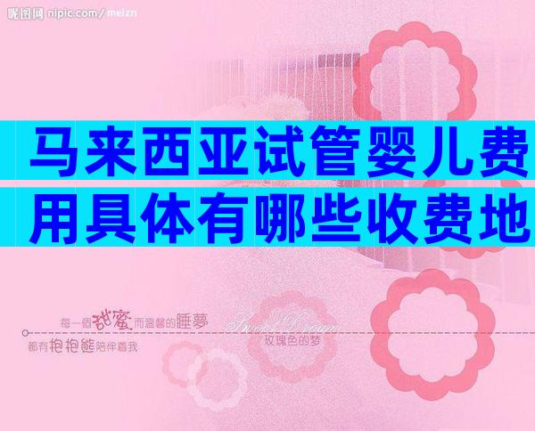 马来西亚试管婴儿费用具体有哪些收费地方/