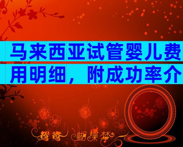 马来西亚试管婴儿费用明细，附成功率介绍!