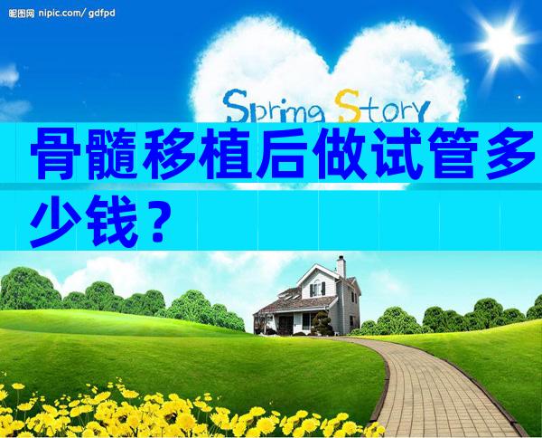 骨髓移植后做试管多少钱？