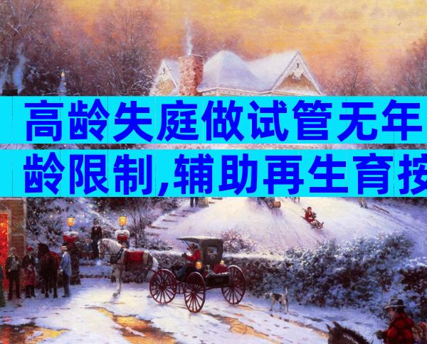 高龄失庭做试管无年龄限制,辅助再生育按政策领补助
