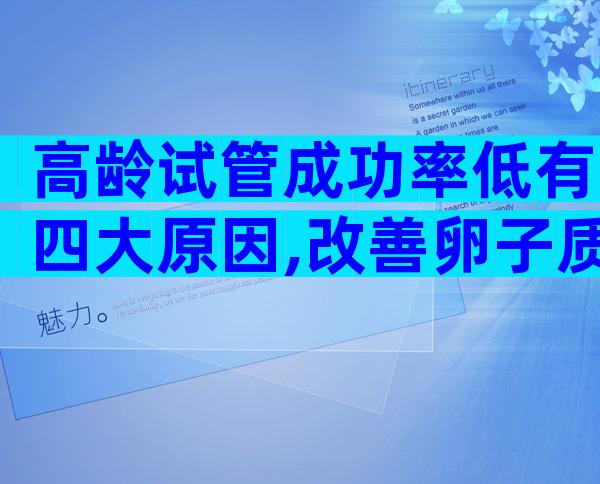 高龄试管成功率低有四大原因,改善卵子质量机会才大