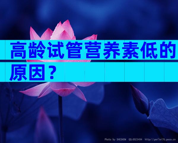 高龄试管营养素低的原因？